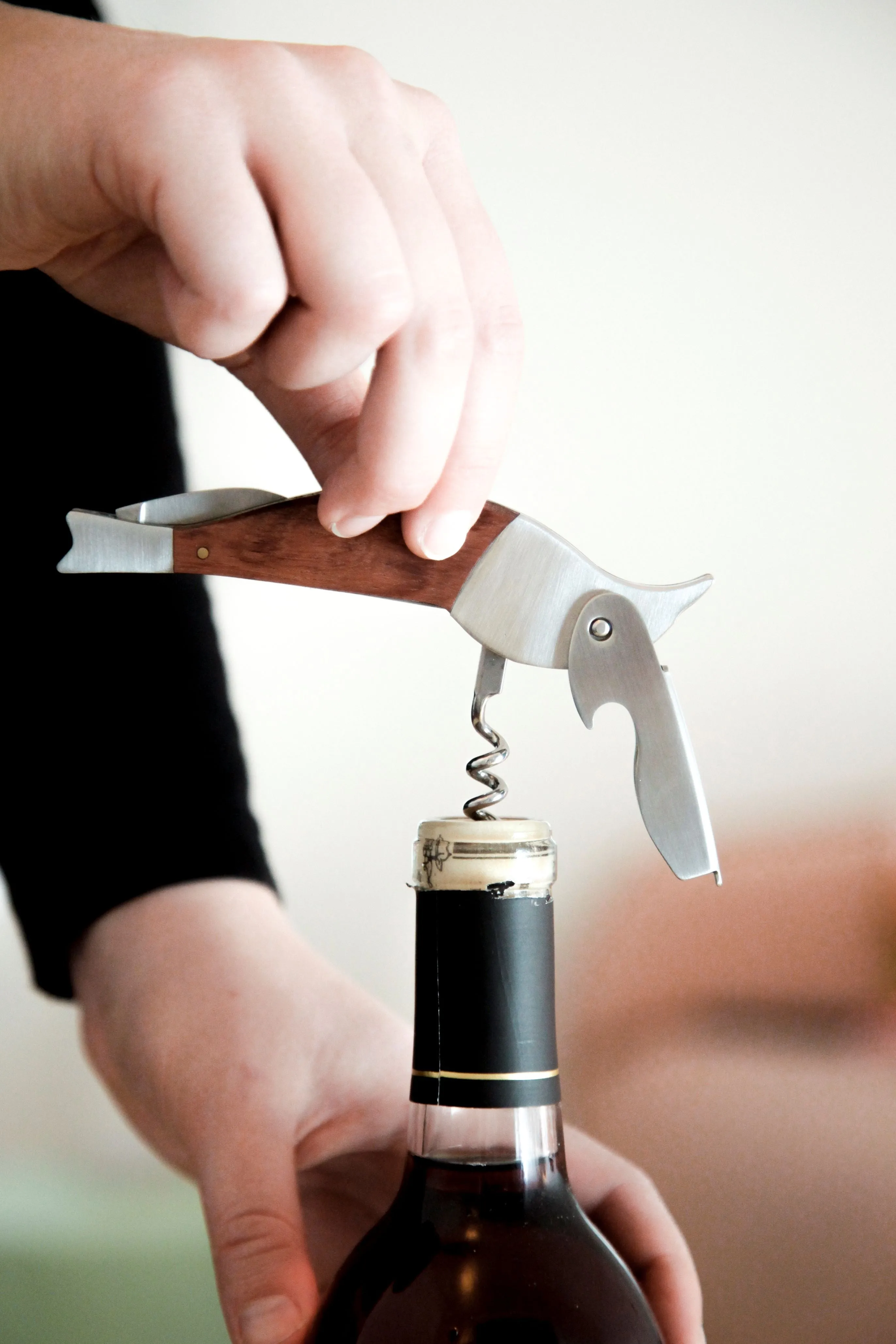 Bird Corkscrew