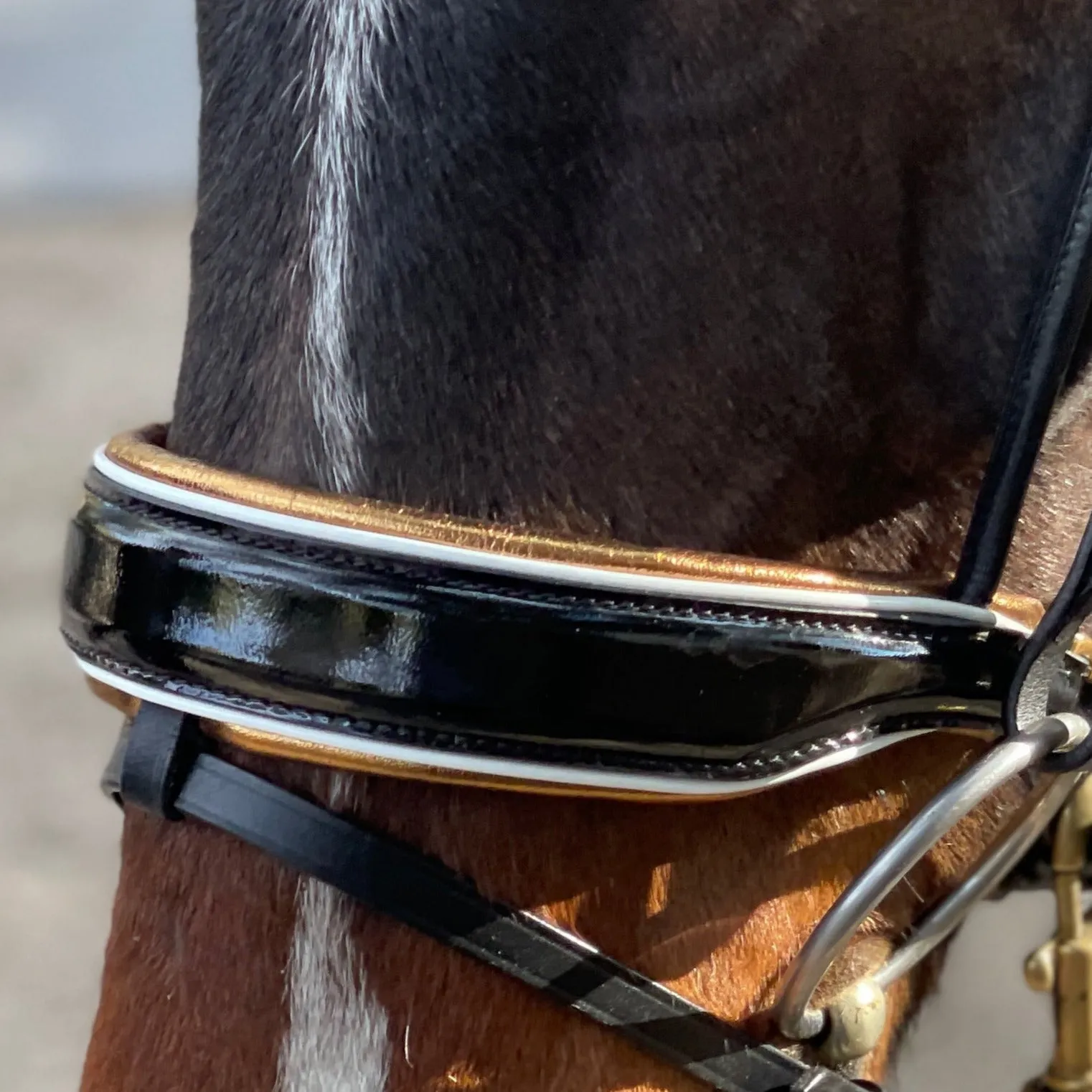 Cleopatra - Black Patent Leather Snaffle Bridle with Gold Padding & White Patent Piping