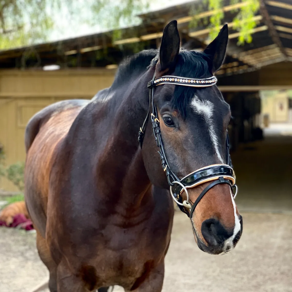 Cleopatra - Black Patent Leather Snaffle Bridle with Gold Padding & White Patent Piping