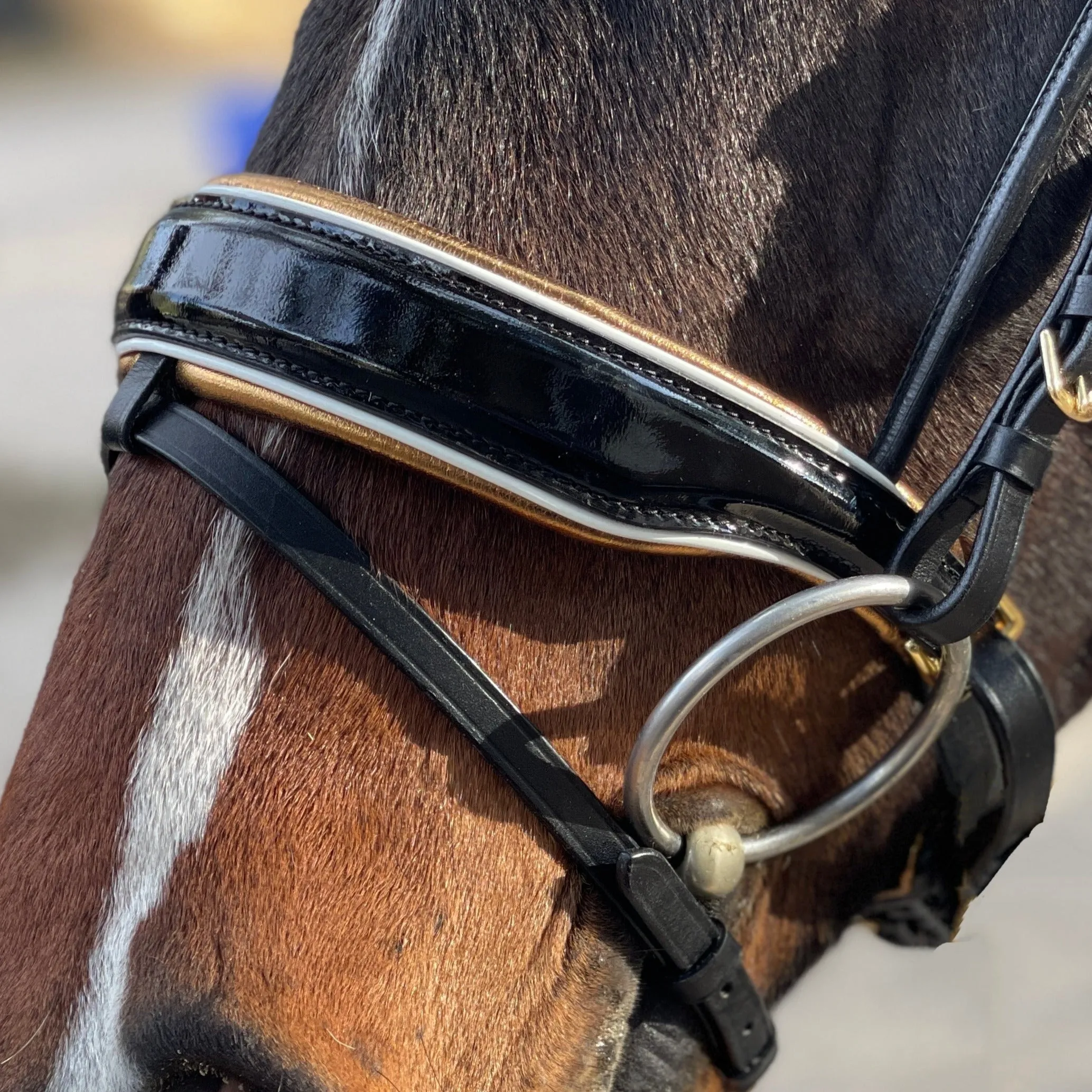 Cleopatra - Black Patent Leather Snaffle Bridle with Gold Padding & White Patent Piping