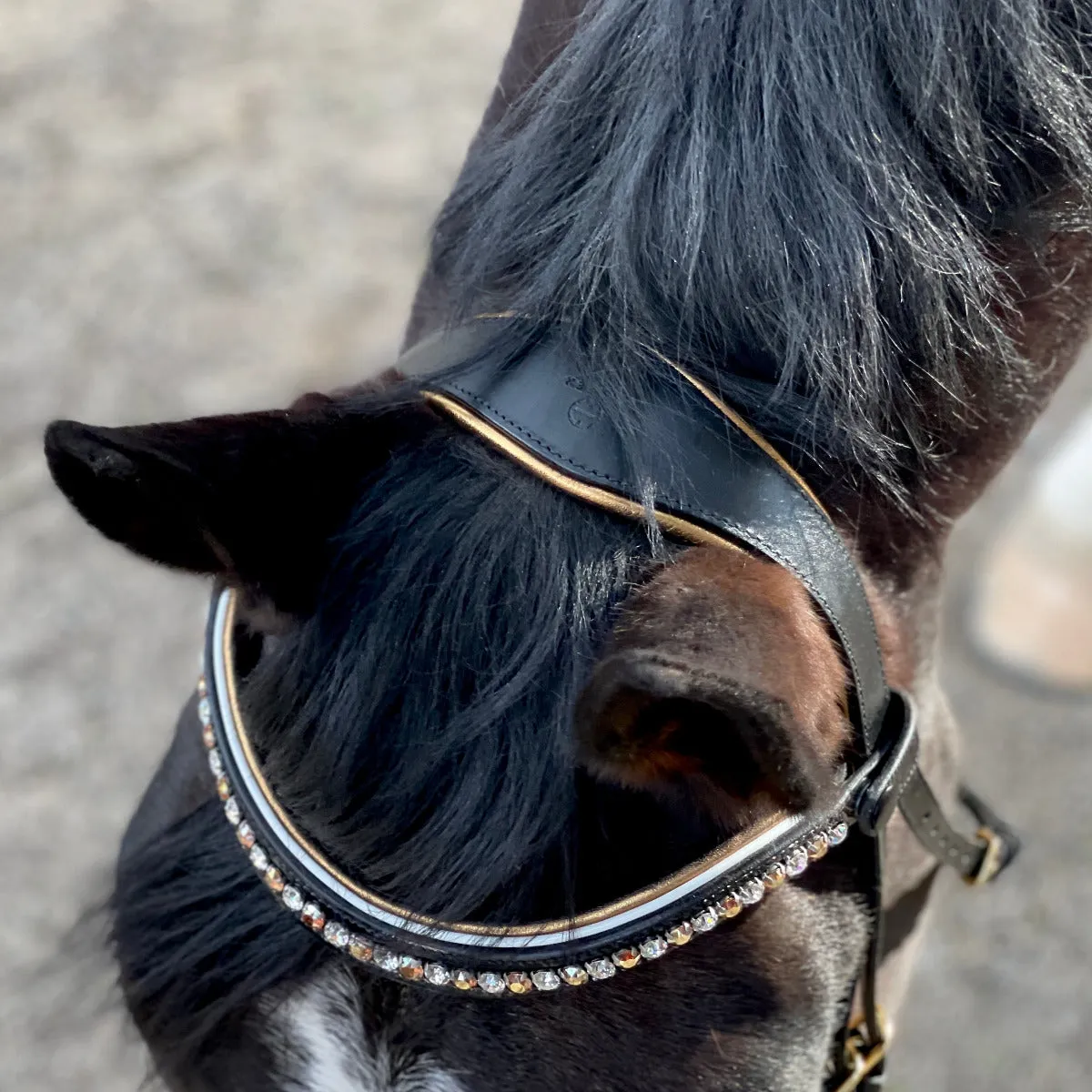 Cleopatra - Black Patent Leather Snaffle Bridle with Gold Padding & White Patent Piping