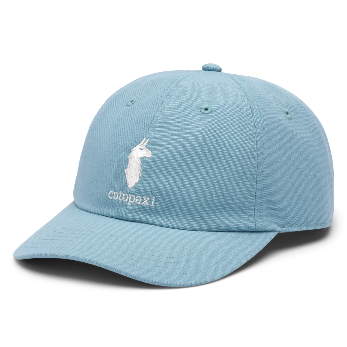 Cotopaxi Dad Hat