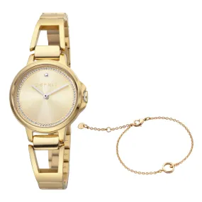 Esprit Stainless Steel Analog Women's Watch ES1L146M0065