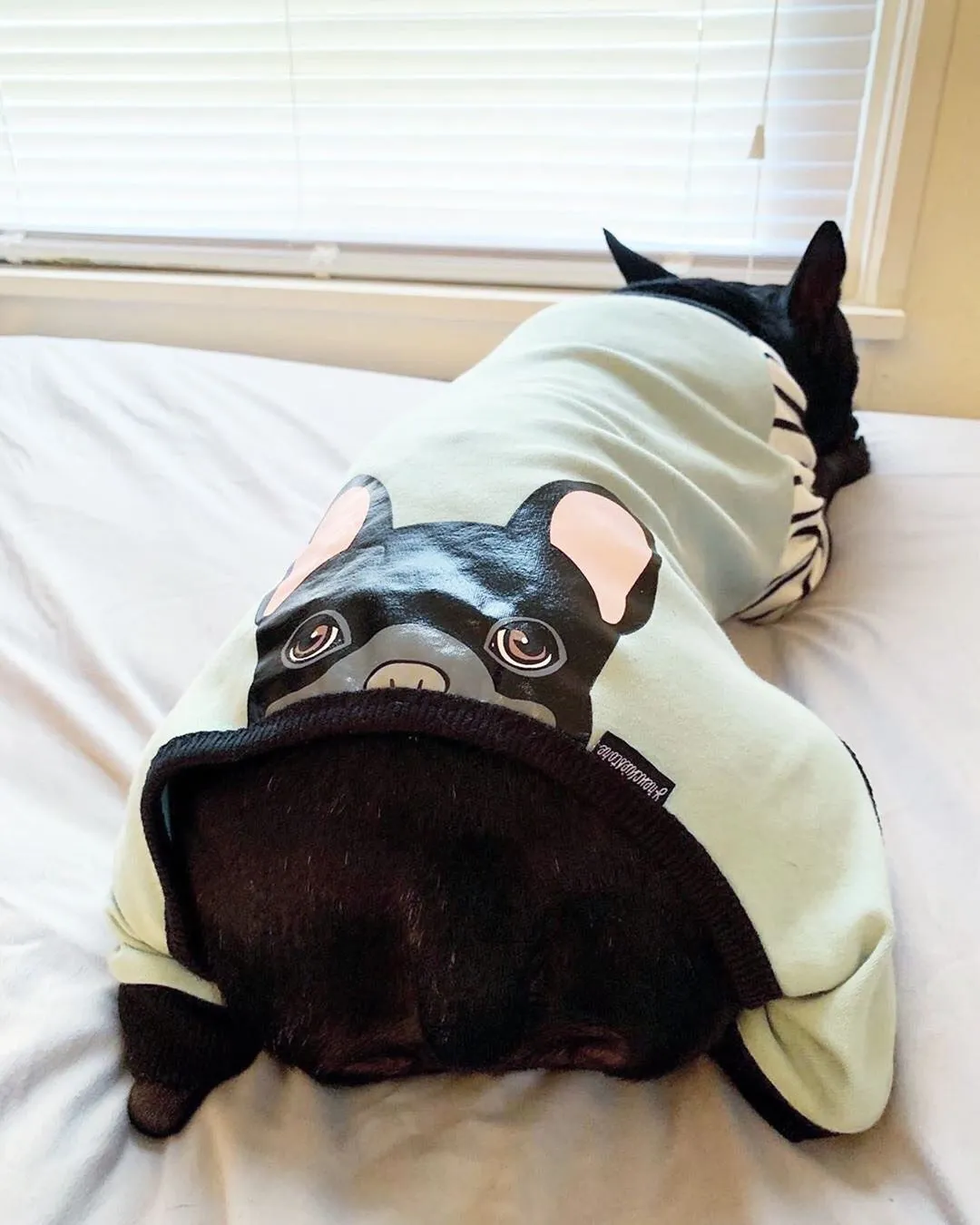 French Bulldog Pajamas | Frenchie Clothing | Black Frenchie dog