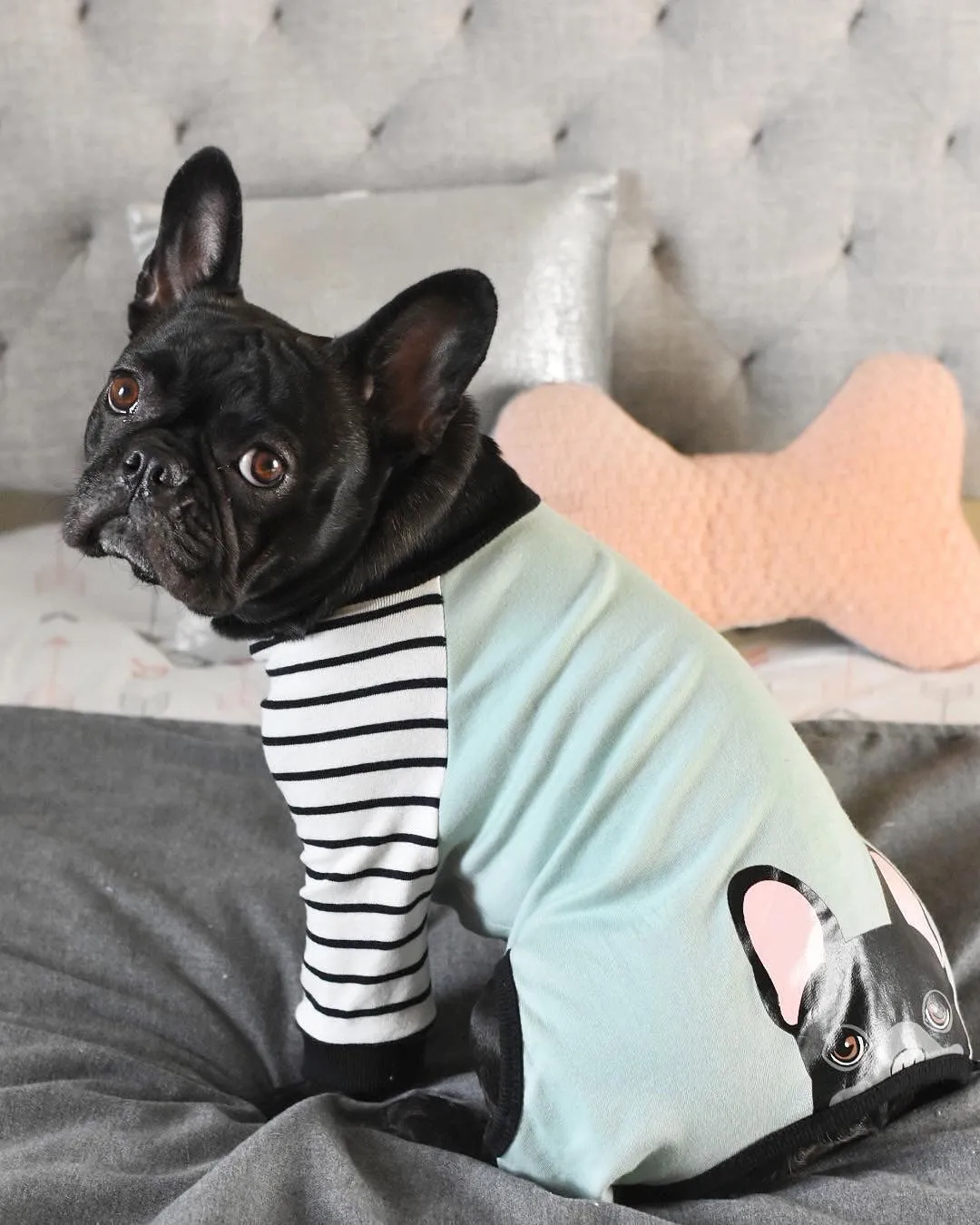 French Bulldog Pajamas | Frenchie Clothing | Black Frenchie dog