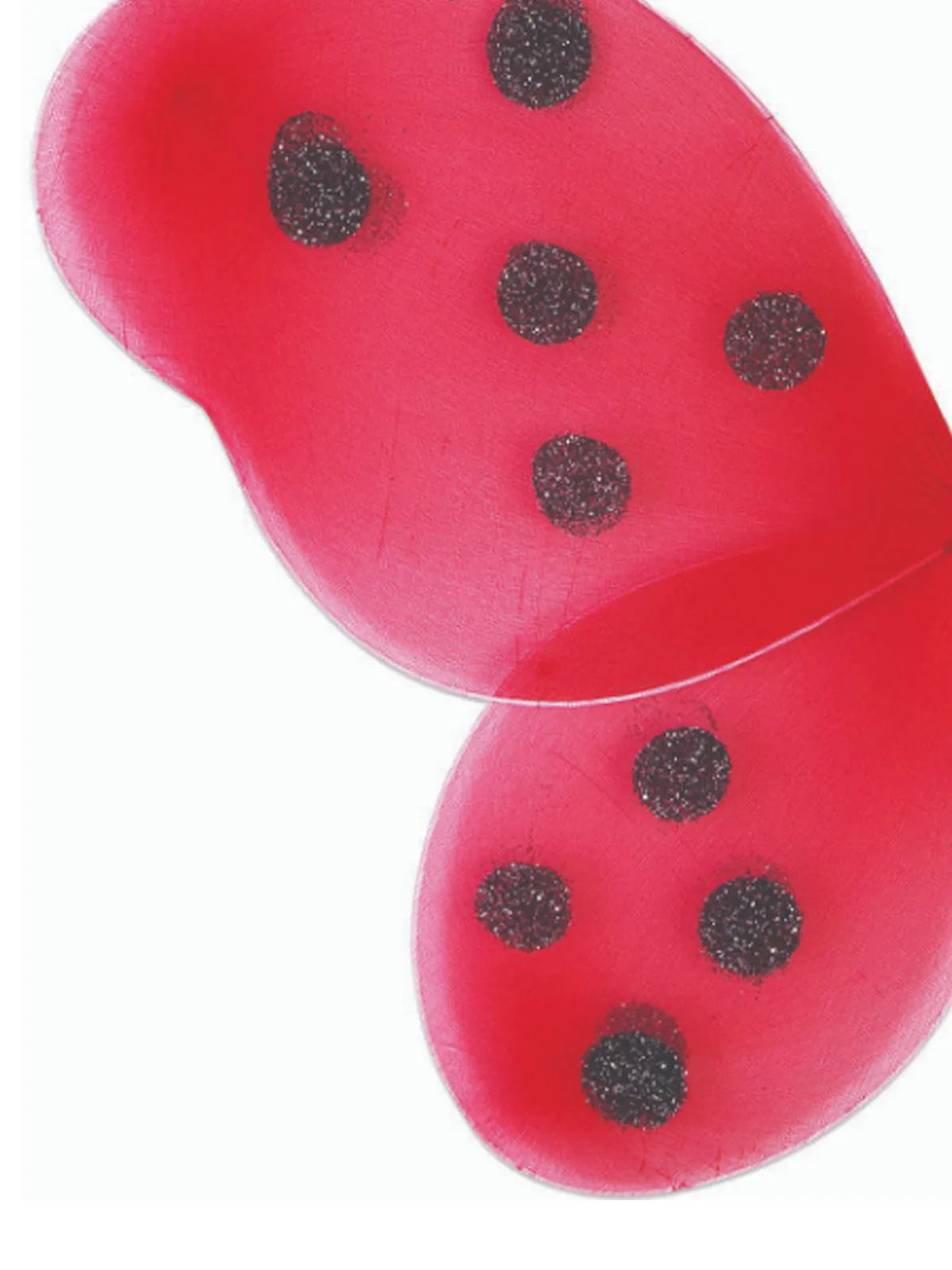 Ladybug Wings Set for Kids