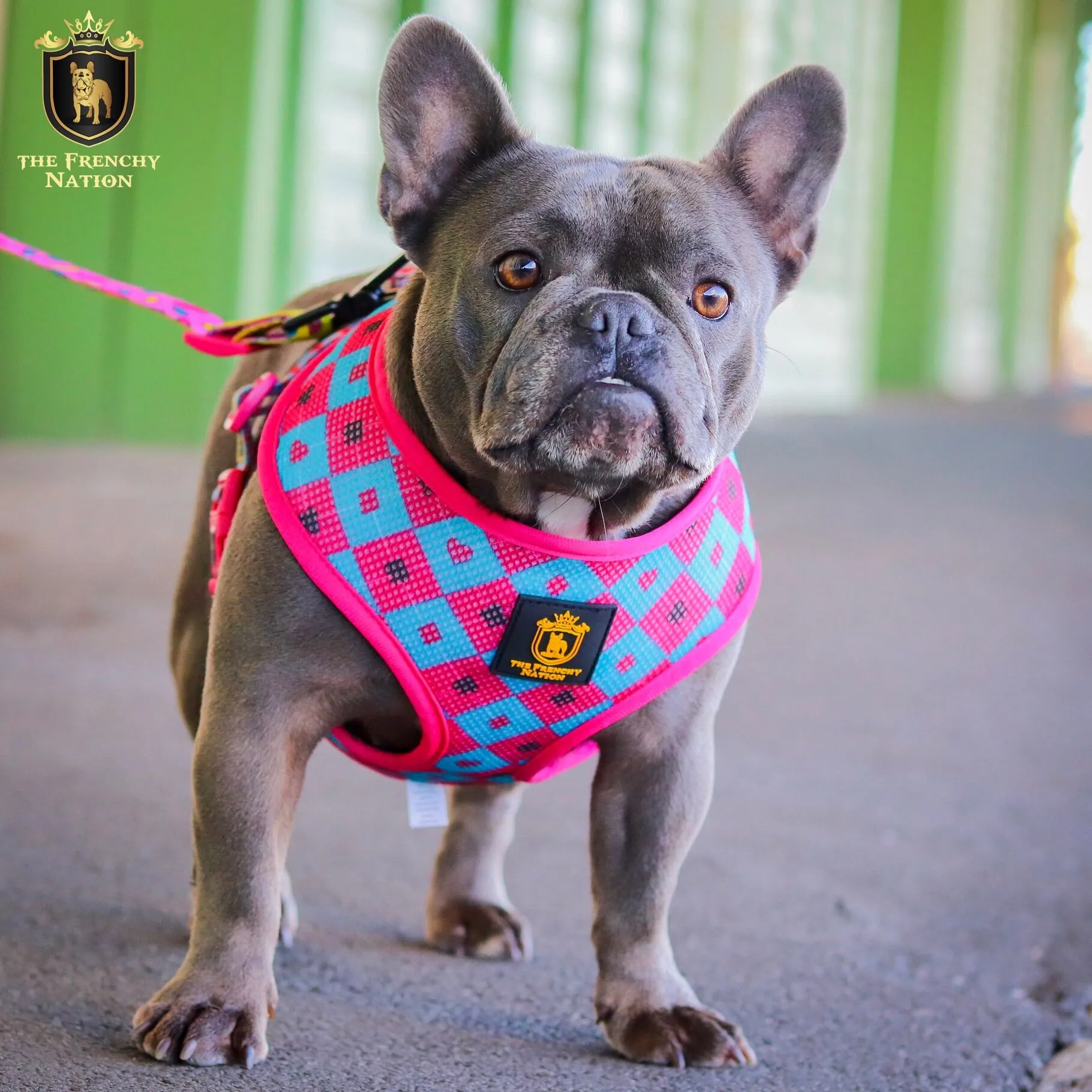 "Queen Of Hearts" Reversible Harness