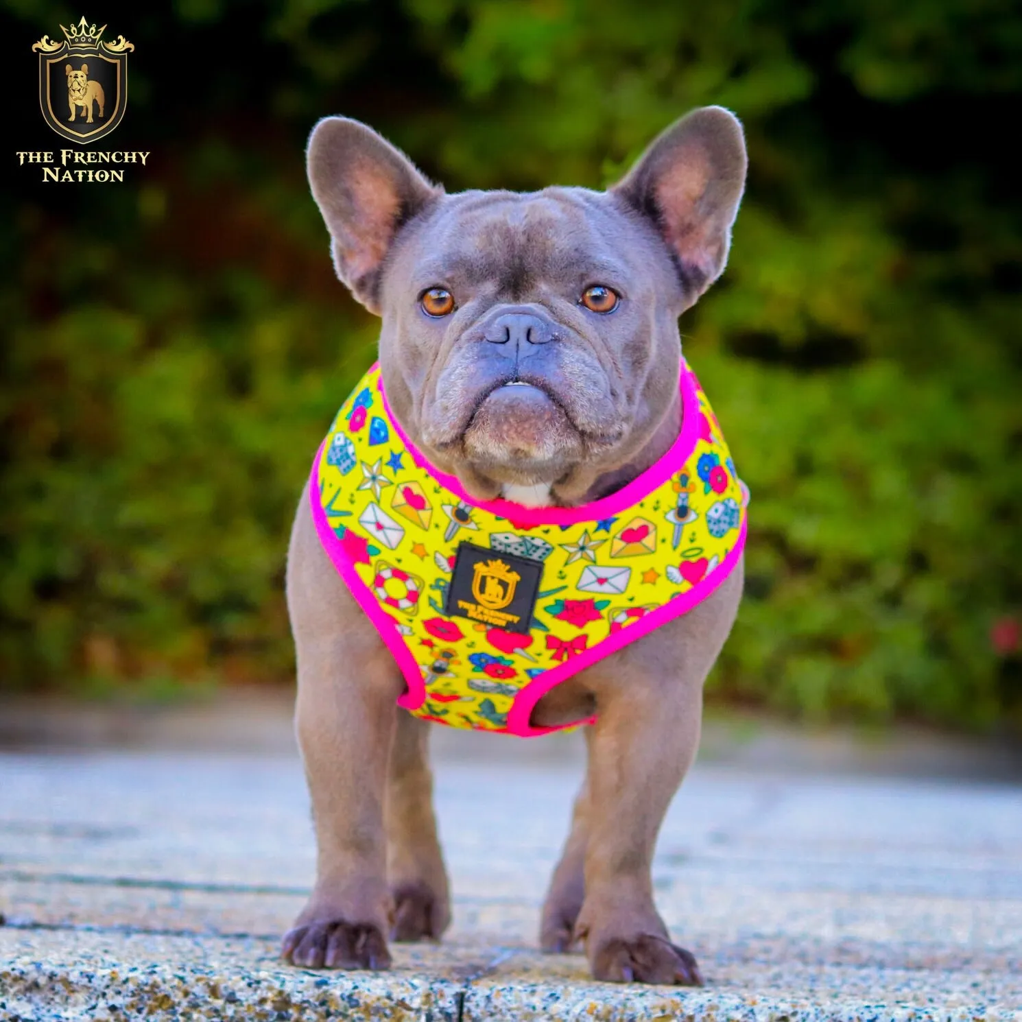 "Queen Of Hearts" Reversible Harness