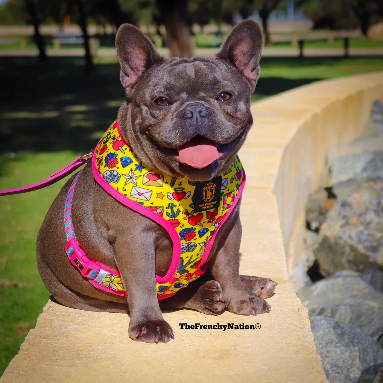 "Queen Of Hearts" Reversible Harness