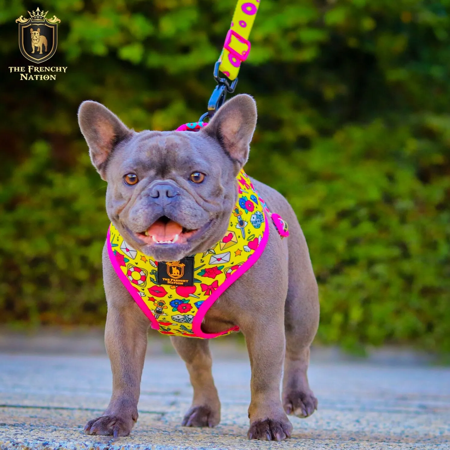 "Queen Of Hearts" Reversible Harness