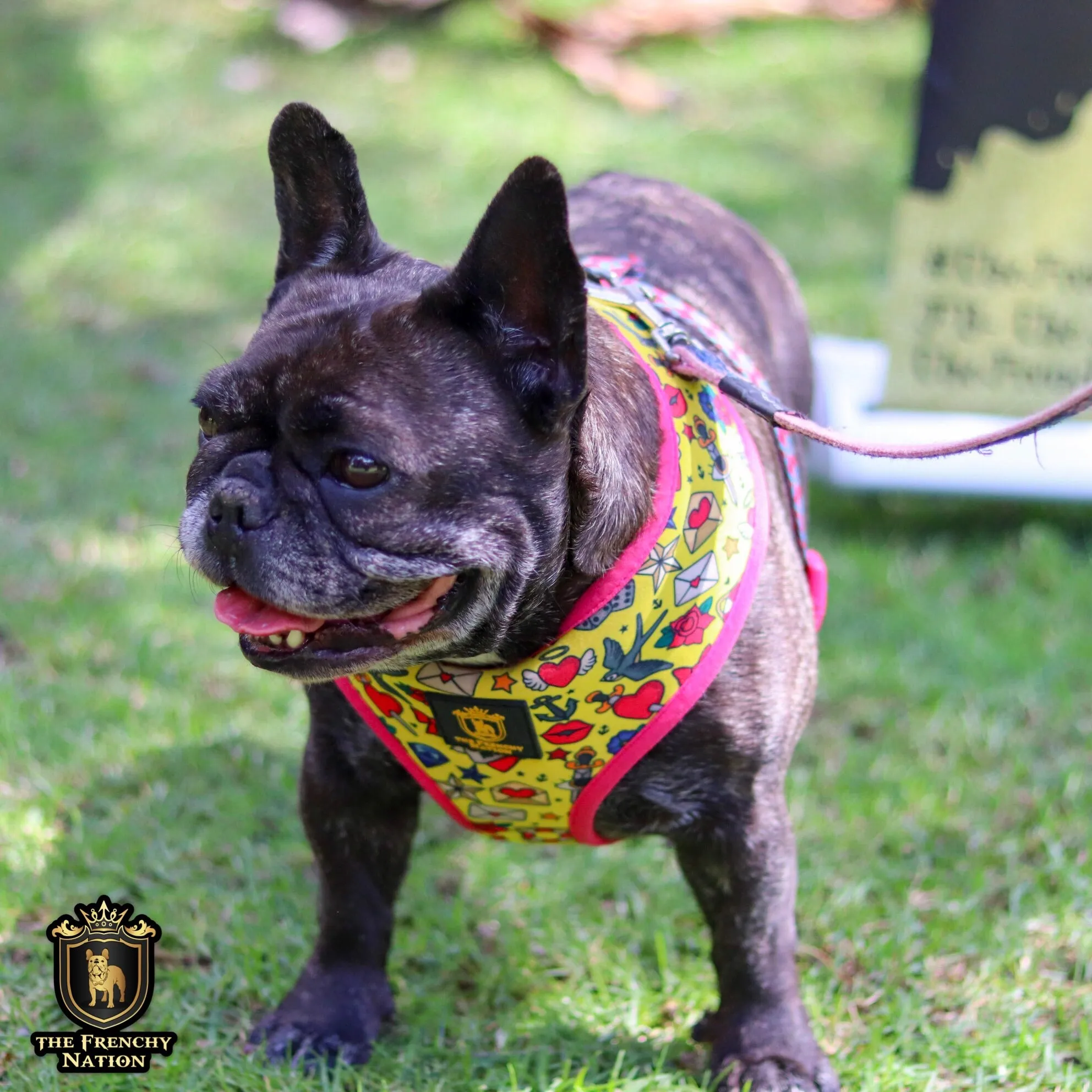 "Queen Of Hearts" Reversible Harness