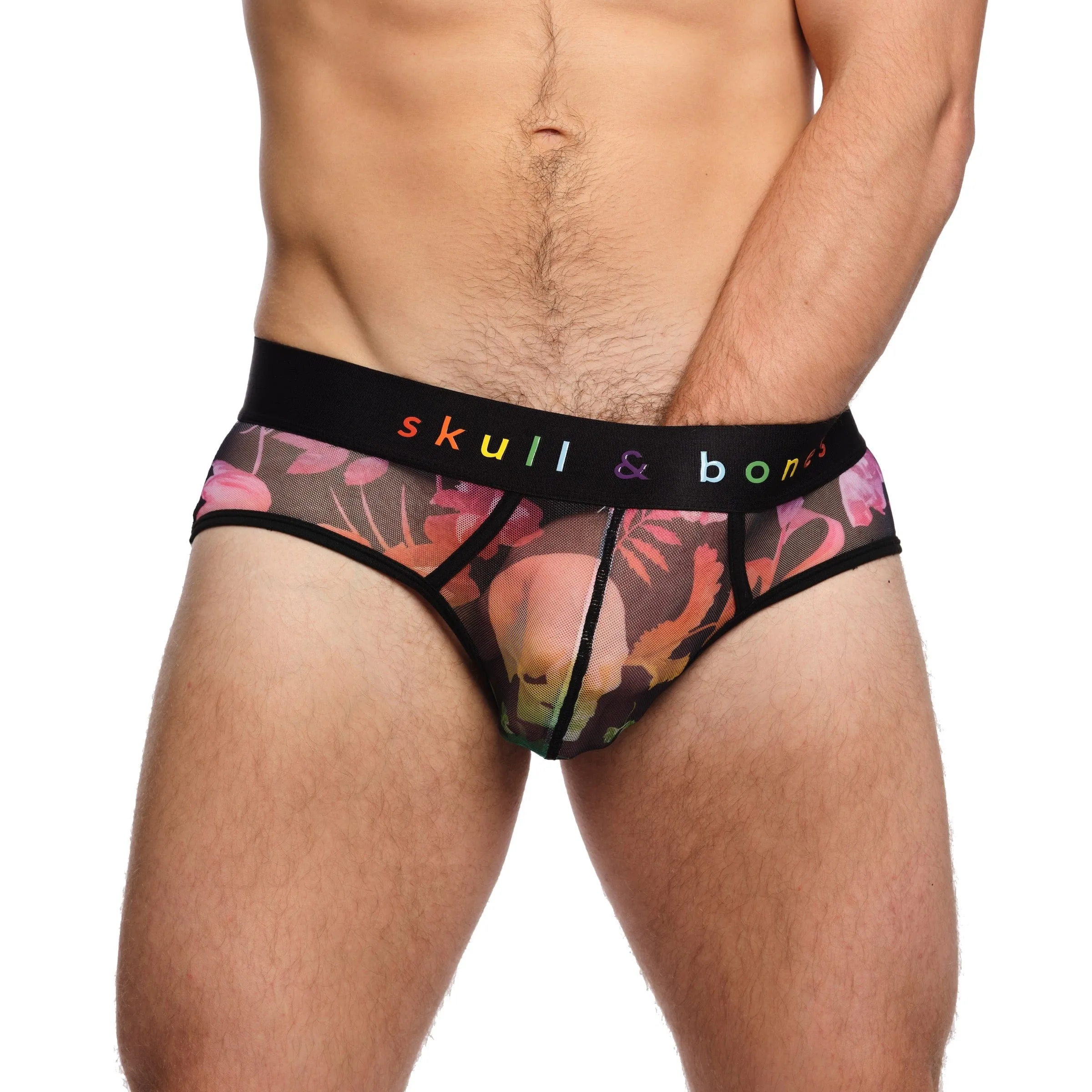 Rainbow Dutch Floral Mesh Brief Black