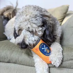 Tangerine Space Machine Dog Toy