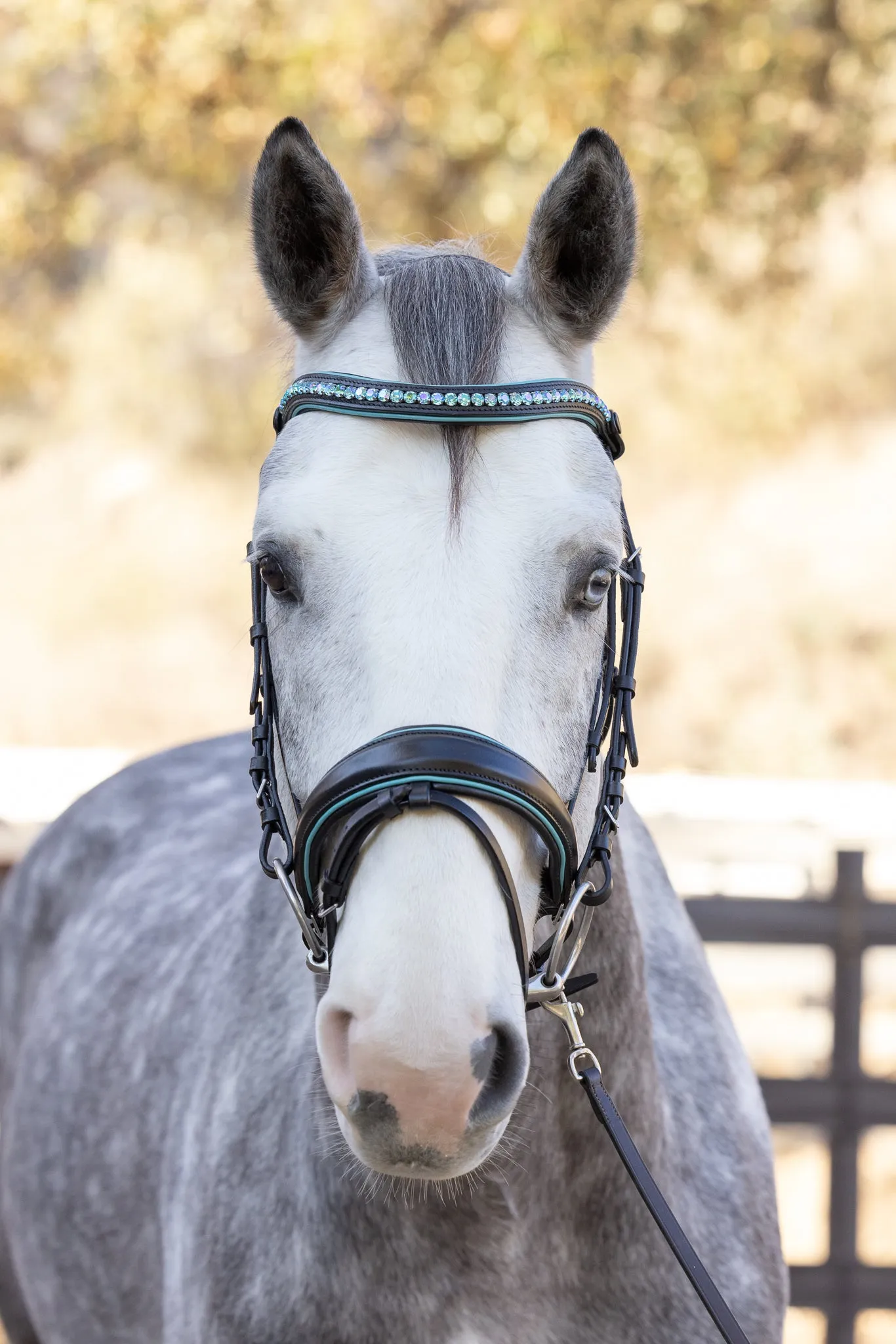 The Santorini Black Leather Snaffle Bridle