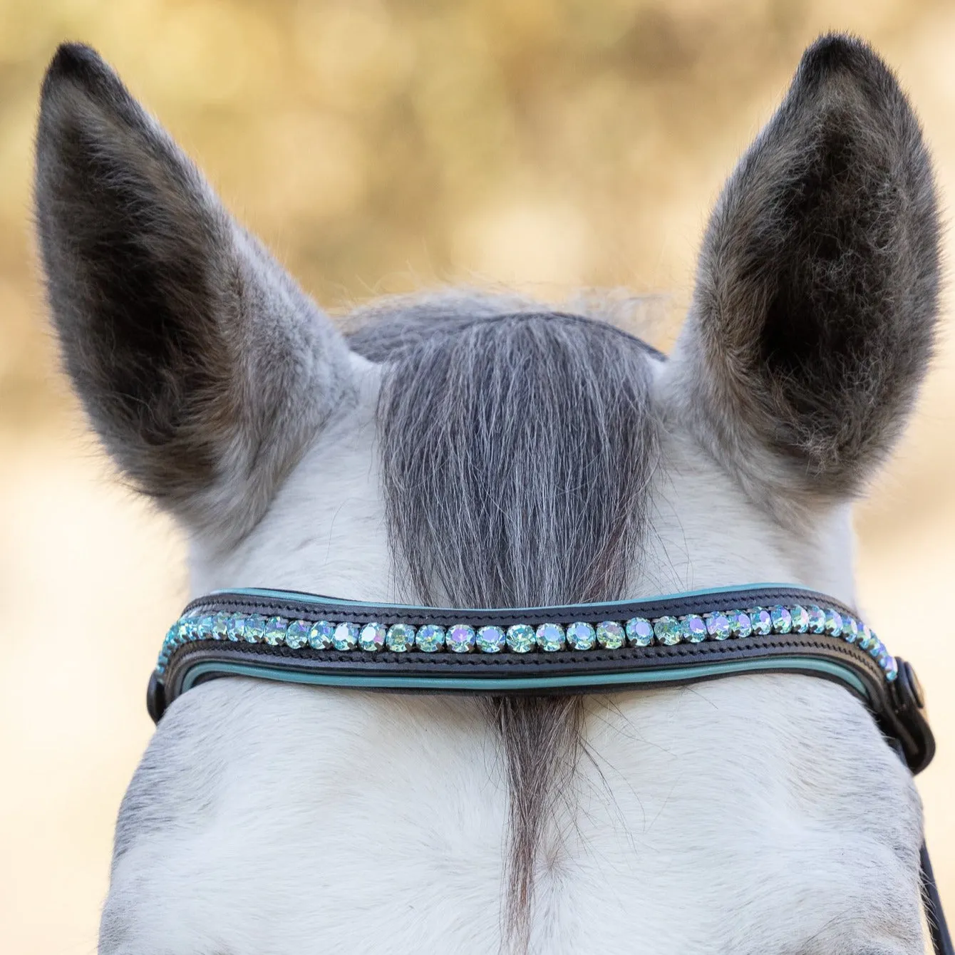 The Santorini Black Leather Snaffle Bridle