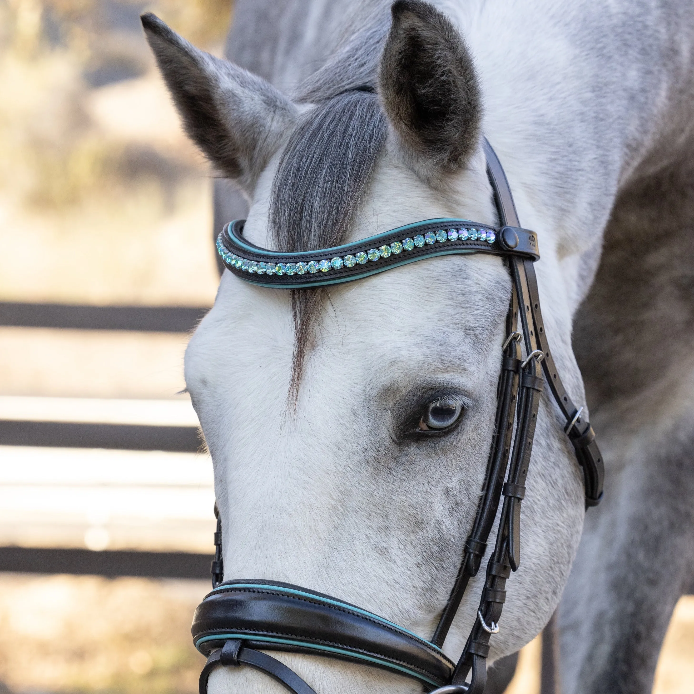 The Santorini Black Leather Snaffle Bridle