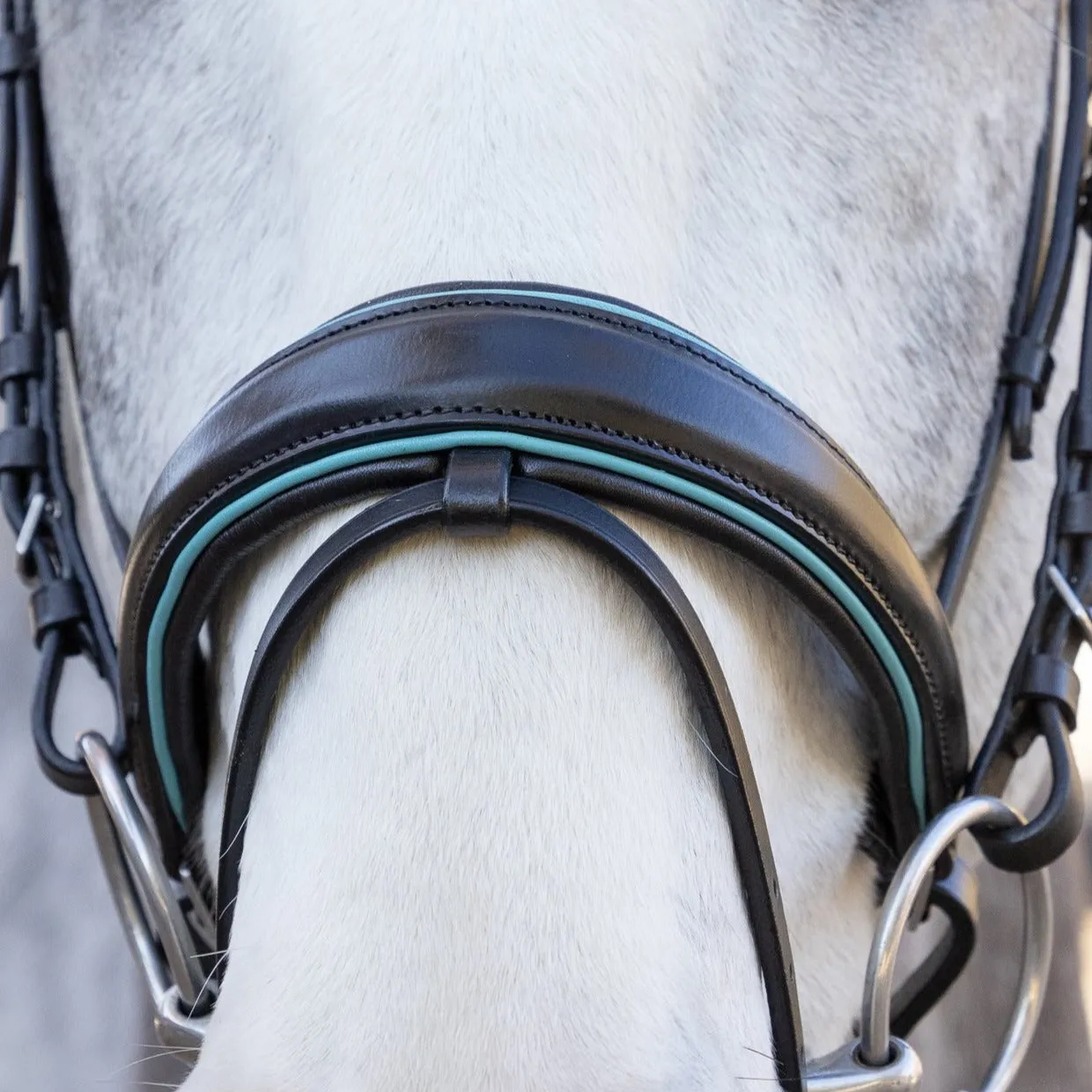 The Santorini Black Leather Snaffle Bridle