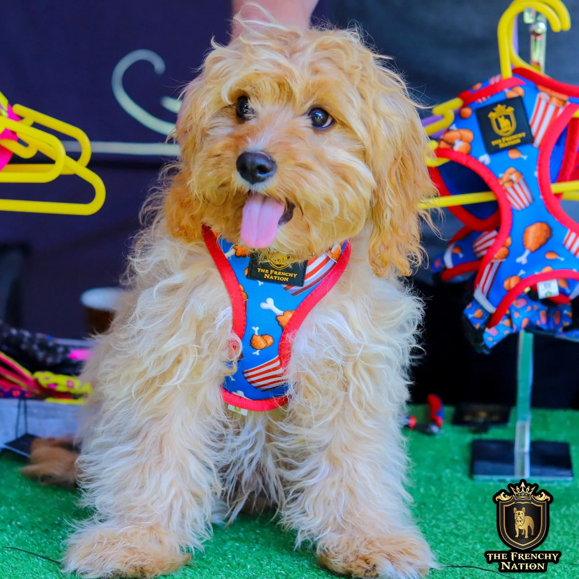 ✨New✨ “Finger licking good “ Puppy Adjustable Harness