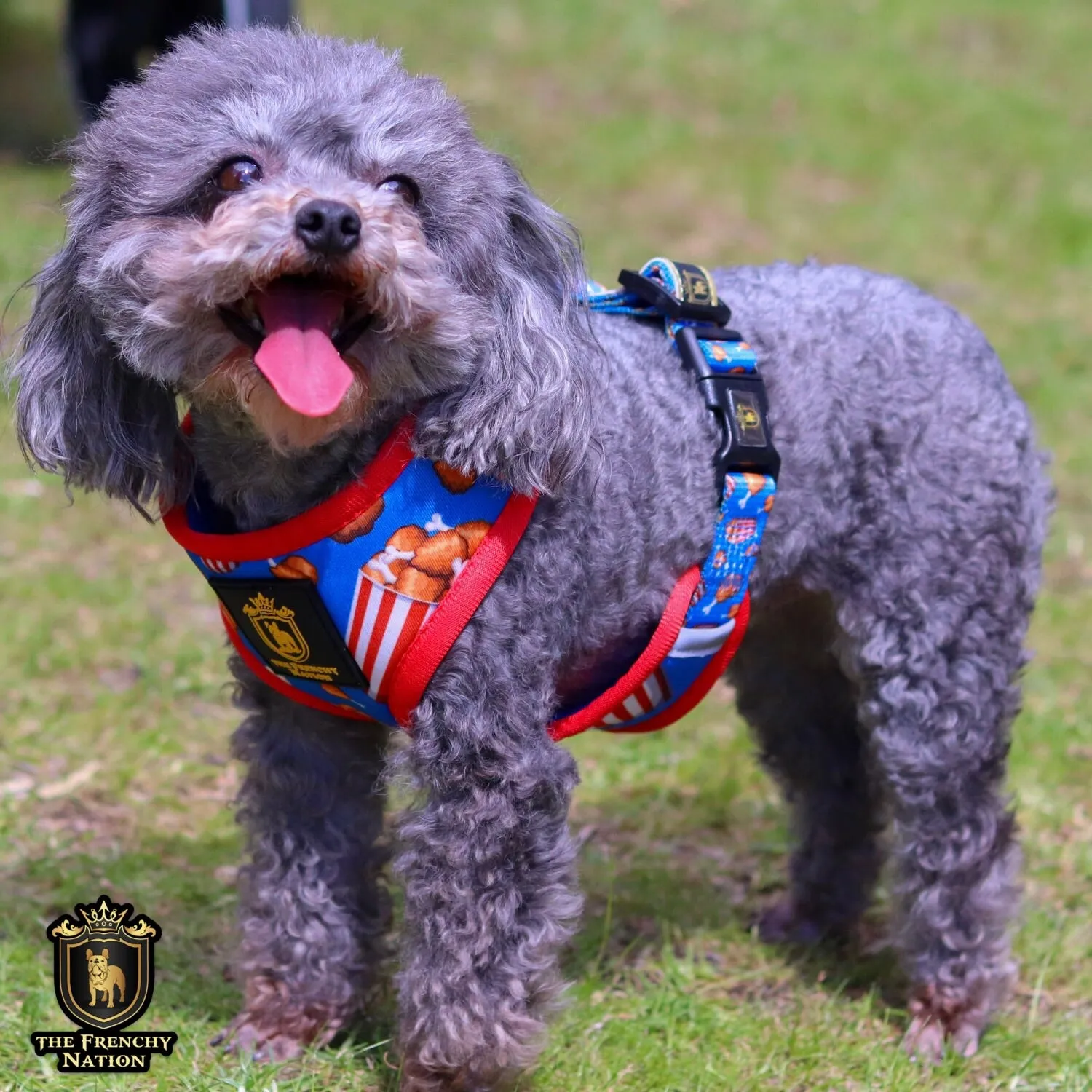 ✨New✨ “Finger licking good “ Puppy Adjustable Harness